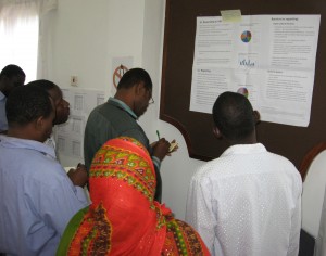National stakeholders engaging with research findings